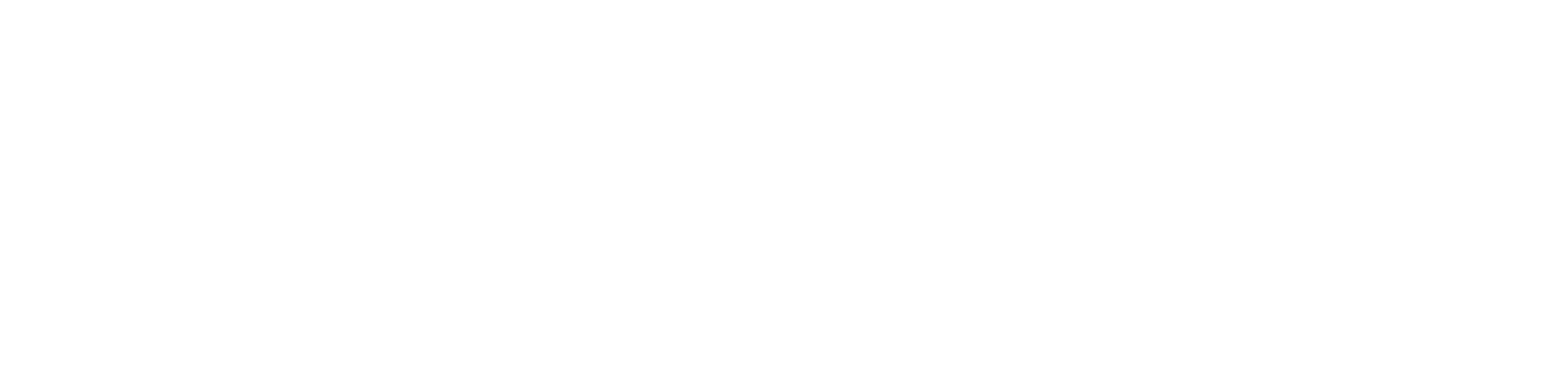 gutterclean-pro-white-logo